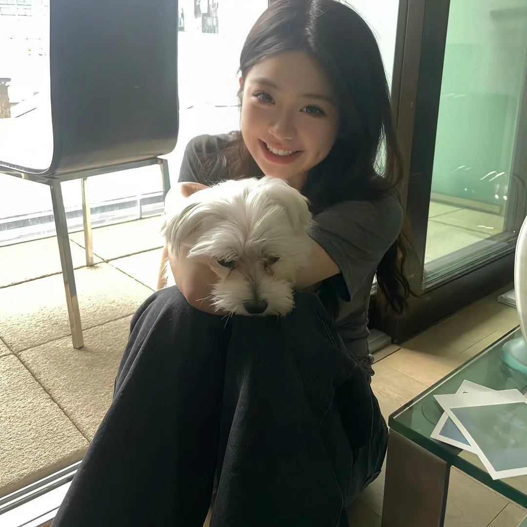 芝加哥烈焰第九季 在线观看