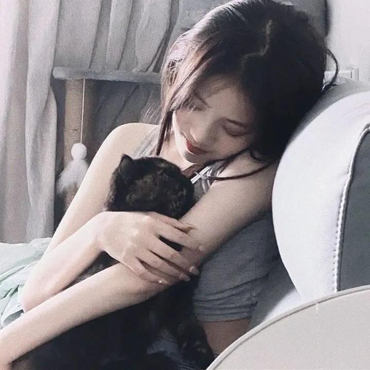 剧场版 白箱 在线观看